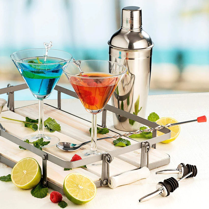 Treasure Exports Stainless Steel Bar Set with Bar Accessories 6 Pcs Set