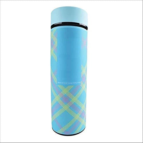 Treasure Exports Stainless Steel Double Wall Vacuum Insulated Flask 480 ml, Sky Blue